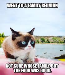 Family Is Relative See What I Did There Grumpy Cat Meme Funny Grumpy Cat Memes Grumpy Cat Quotes