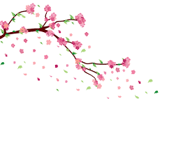 Browse and share the top cherry blossom tree gifs from 2021 on gfycat. Cherry Blossom Gif By Ayshamostafiz On Deviantart