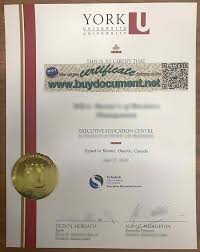 You also can change your. Buying Fake Degree From York University Buydocument Net Buy Fake Diploma Buy Fake Degree Buy Fake University Degree Buy Fake Transcript