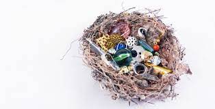 The australian magpie prefers open areas such as grassland, fields and residential areas such as parks, gardens, golf courses, and streets, with scattered trees or forest nearby. Pin By Ophelia Roberts On Magpie Nest Magpie Crafts Nest