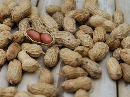 Informasi selengkapnya di bawah ini. 6 Manfaat Kacang Tanah Untuk Kesehatan Dan Kecantikan Bisa Mencegah Stroke Ragam Bola Com