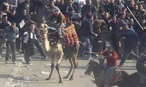5:34 ص ناشط سياسى no comments. Bosses Enforcers And Thugs In Egypt S Battle Of The Camel To See Harsh Retribution Africa Cup Of Nations 2019