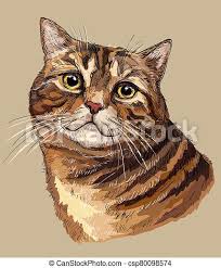 How to draw realistic cat eyes and cat fur with pencil using different techniques. Vector Hand Drawing Colorful Cat 1 Colorful Vector Hand Drawing Portrait Of Cat Realistic Retro Portrait Of Tabby Cat Canstock