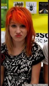 Discover 260 my wife 🧎‍♀️ and hayley williams ideas