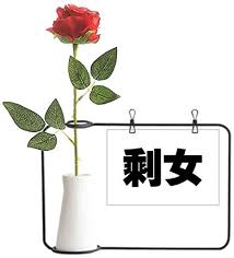 Leftovers make you feel good twice. Amazon Com Beauty Gift Chinese Quote Leftover Women Artificial Rose Flower Hanging Vases Decoration Bottle Home Kitchen