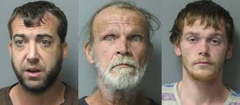 Three arrested in Millsboro drug, guns investigation