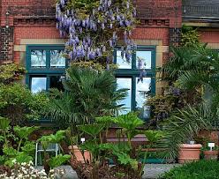 In der nähe der haltestelle wuppertal botanischer garten in wuppertal finden sie folgende sehenswürdigkeiten : Orangerie Im Botanischen Garten Wuppertal Ci Fotocommunity