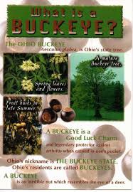 Learn more about the golden buckeye discount at ohio state parks. Ohio State Buckeyes Post Card What Is A Buckeye 3 Pack Bucknut Collectibles