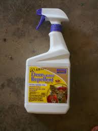 This is a list of ways how to keep slugs away from your vegetable garden. How To Keep Animals Out Of Your Vegetable Garden Dengarden