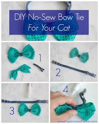 Well you're in luck, because here they come. Borrowed Heaven Diy No Sew Bow Tie For Your Cat