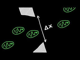 Heisenberg S Uncertainty Principle Explained Quantum Mechanics Modern Physics Quantum Computer