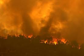 Mcgowan announces five day lockdown for perth. Australia S Perth Battles Bushfire Amid Virus Lockdown