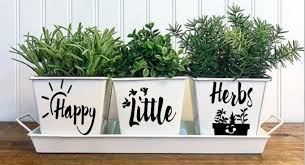 Maybe you would like to learn more about one of these? 16 Best Indoor Herb Garden Ideas Organize With Sandy