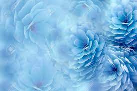 Check spelling or type a new query. Watercolor Flowers On Blurry Blue Background Blue White Flowers Chrysanthemum Floral Collage Flower Composition Nature Stock Photo Picture And Royalty Free Image Image 81189047