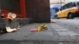 Haha These Super Short 3d Animations About A Tiny World Are So Cute Tiny World Motion Design Video Stop Motion