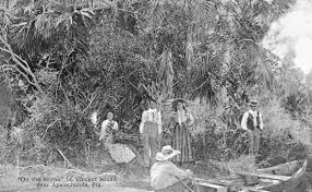 Vincent was inhabited as far back as 240 a.d. Florida Memory On The Bayou Saint Vincent Island Florida
