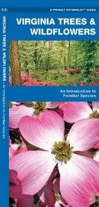 Virginia tech dendrology is the source for tree identification. Virginia Trees Wildflowers A Folding Pocket Guide To Familiar Plants Pocket Naturalist Guide Series James Kavanagh Raymond Leun Wild Flowers Tree Plants