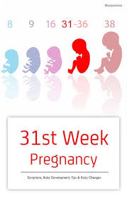 Pin On Pregnancy And Postpartum