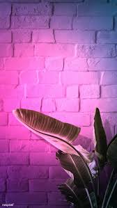 Download Premium Illustration Of Pink Neon Lights And A Banana Leaf Tree In 2020 Pink Neon Lights Neon Wallpaper Neon