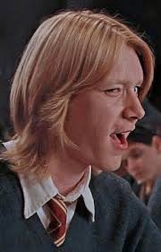 my soulmate fred weasley