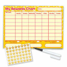 Re Usable Behaviour Reward Chart Incl Free Pen Stickers Yellow Stars Ebay