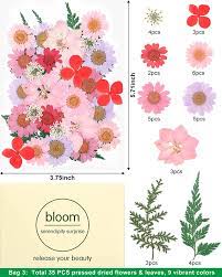 We recommend using several small dried and pressed flowers. Buy Ifancer Dried Pressed Flowers For Resin Small Real Pressed Flowers Natural Dry Leaves Bulk For Scrapbooking Resin Jewelry Card Candle Making Diy Art Crafts 105 Pcs 28 Colors Online In Taiwan B08nvnnv4q