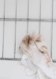 Brush through the pistol barrel. How To Clean Oven Racks Naturally Bren Did