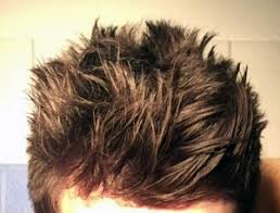 Bei feinem, dünnem haar eignet sich ein leichter haarschaum oder haarmousse. Der Haarwachs Haargel Test Das Beste 2020