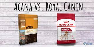 Acana Vs Royal Canin Which Of These Two Dog Food Brands Is Royal Canin Chihuahua Dog Food Review On 202 Dog Food Reviews Dog Food Recipes Royal Canin Dog Food