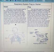 20 Describe The Differences Between The Respiratory System Of Frogs And The Respiratory System Of Brainly Com