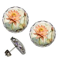 Image result for Lotus discolor