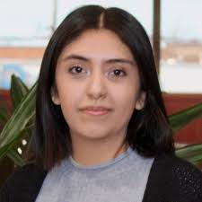 Home, Auto Insurance & More in IL