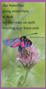 Tanka Poem Like Butterflies By Michael Mcclintock Poetry Tanka Poetry Inspiration Poetry Art Haiku Poetry