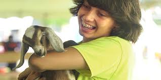 A day at the Westport Fair