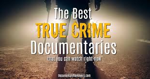 Not a true crime show, but the documentary film american murder: Pin On I Wanna Watch This