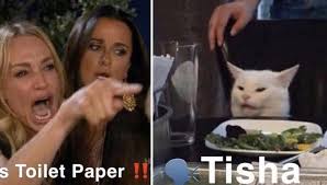 Woman Yelling At Cat Memes That Perfectly Showcase Strange Southern Slang Laughing So Hard Memes Laugh