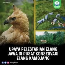 Memiliki sikap dan keahlian berinvestasi sesuai prinsip kecerdasan keuangan. Facebook