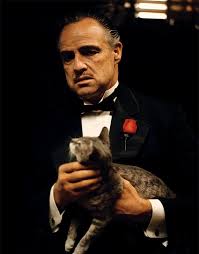 Maybe you would like to learn more about one of these? The Cat In The Godfather Real Power Behind The Corleone Family