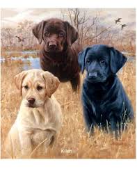 Labrador Retriever Quilt Set 3 Color Ready To Etsy In 2020 Labrador Dog Retriever Puppy Labrador Retriever