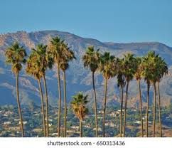 The university of california at santa barbara, about 10 miles north, brings a college town element without dominating town life. Beautiful Santa Barbara California This View Stock Photo Edit Now 650313436