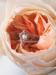 However, it sometime between 2001 and 2002, the red shield diamond was purchased from goldberg by shlomo moussaieff, an. The Beatrix Ring Setting Shield Cut Apres Jewelry