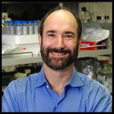 New Blog — Stanford Diabetes Research Center