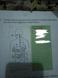 Uji Kompetensi Ipa Kurikulum 2013 Semester 2 Halaman 26 Dan 27 Brainly Co Id