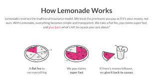 The Best Renters Insurance 7 Amazing Companies For You In 2021
