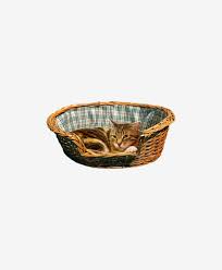 Kedi Yatagi Satir Natural Hasir Did Homeware Tasarim Ev Urunleri