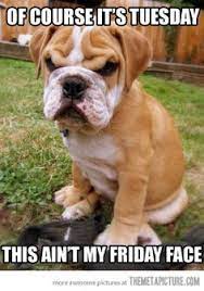 May we all feel blessed and with the strength necessary to walk the rails of life with a sincere, honest smile! 120 Tuesday Ideas Tuesday Quotes Tuesday Good Morning Tuesday