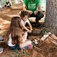 Building Woodland Fairy Houses