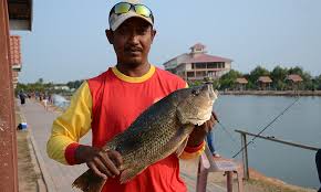 Mulai dari menyiapakan peralatan memancing, umpan memancing dengan kualitas jempolan. Ngolam Retro Kuala Kedah Sportfishing Umpan
