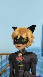 Tv show, miraculous ladybug, cat noir (miraculous ladybug). Miraculous Cat Noir Wallpaper Miraculous Ladybug Movie Miraculous Ladybug Funny Miraculous Wallpaper