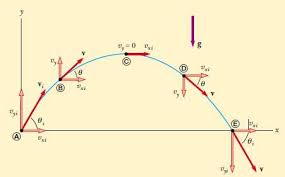 The reason is, of course, gravity, the only force that affects its motion (neglecting air resistance) after it is projected. Projectile Motion Brilliant Math Science Wiki
